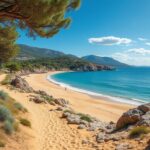 découvrez la plage du trelus à toulon : accès facile, avis des visiteurs et guide pratique complet pour profiter pleinement de votre visite en 2024.